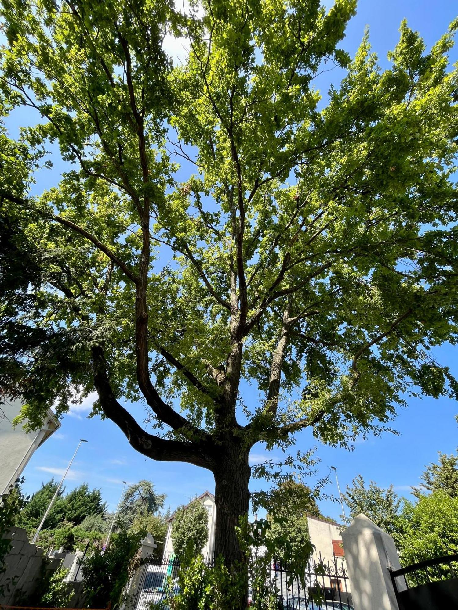 오네수부아 Cosy House Near Paris, Cdg Airport + Parking 빌라 외부 사진